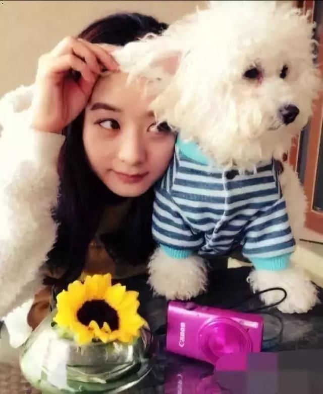 赵丽颖力破谣言？网友却拍到不一样的画面，爱犬还被寄养给朋友！