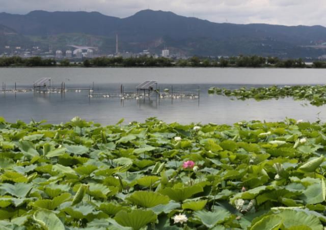 西部地区最宜居的城市：风景优美气候宜人，绿化程度丝毫不输日本