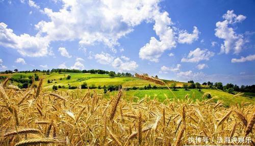  印度|印度粮食产量仅中国一半，养活10亿人口，为何还能大量出口