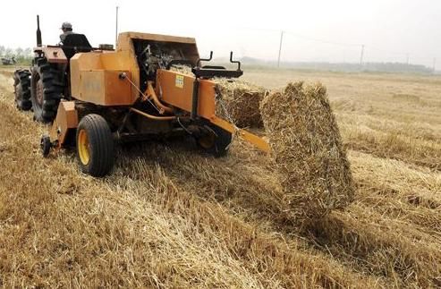  【秸秆】9月起！农村这2种行为将会被严查！一旦发现，严惩不贷