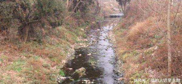 农村老话说“一把猪粪一把粮食”，为什么养殖却有污染呢