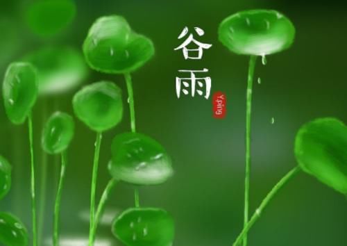  『无雨』谷雨节气到，俗语“谷雨无雨，后来苦雨”啥意思？谷雨下雨才好吗