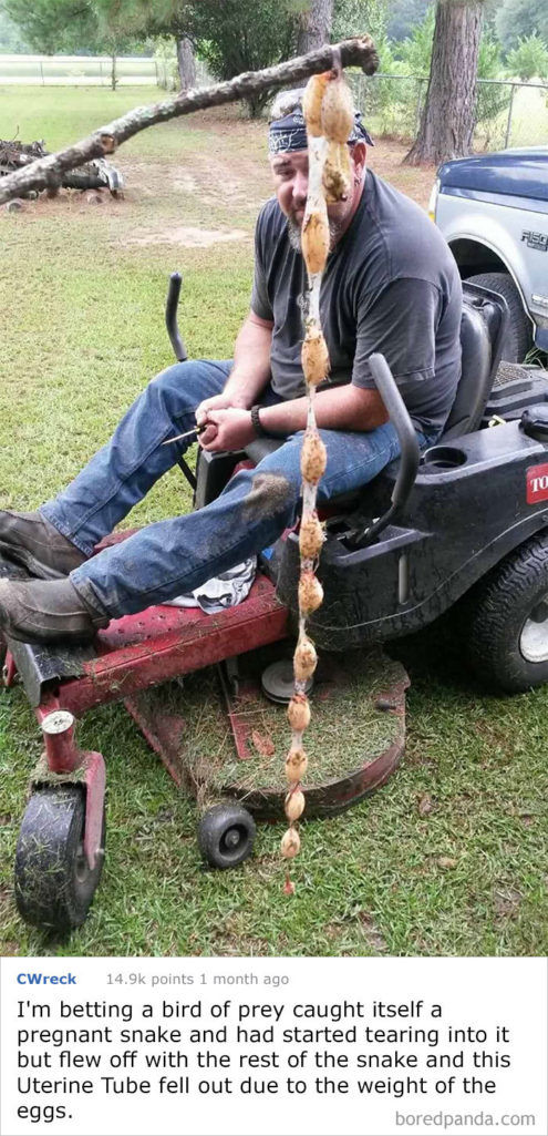 20个你一定也很纳闷那是什么东东?