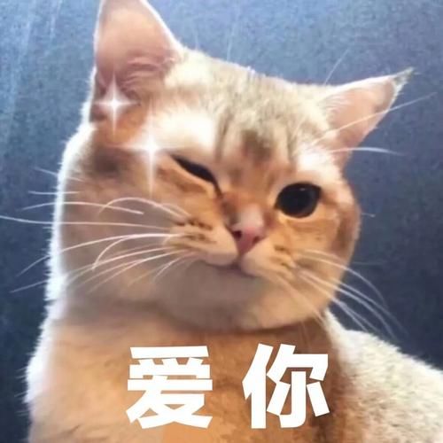 搞笑@搞笑段子:你觉得你喜欢的人,也喜欢你的时候,一般是你想多了