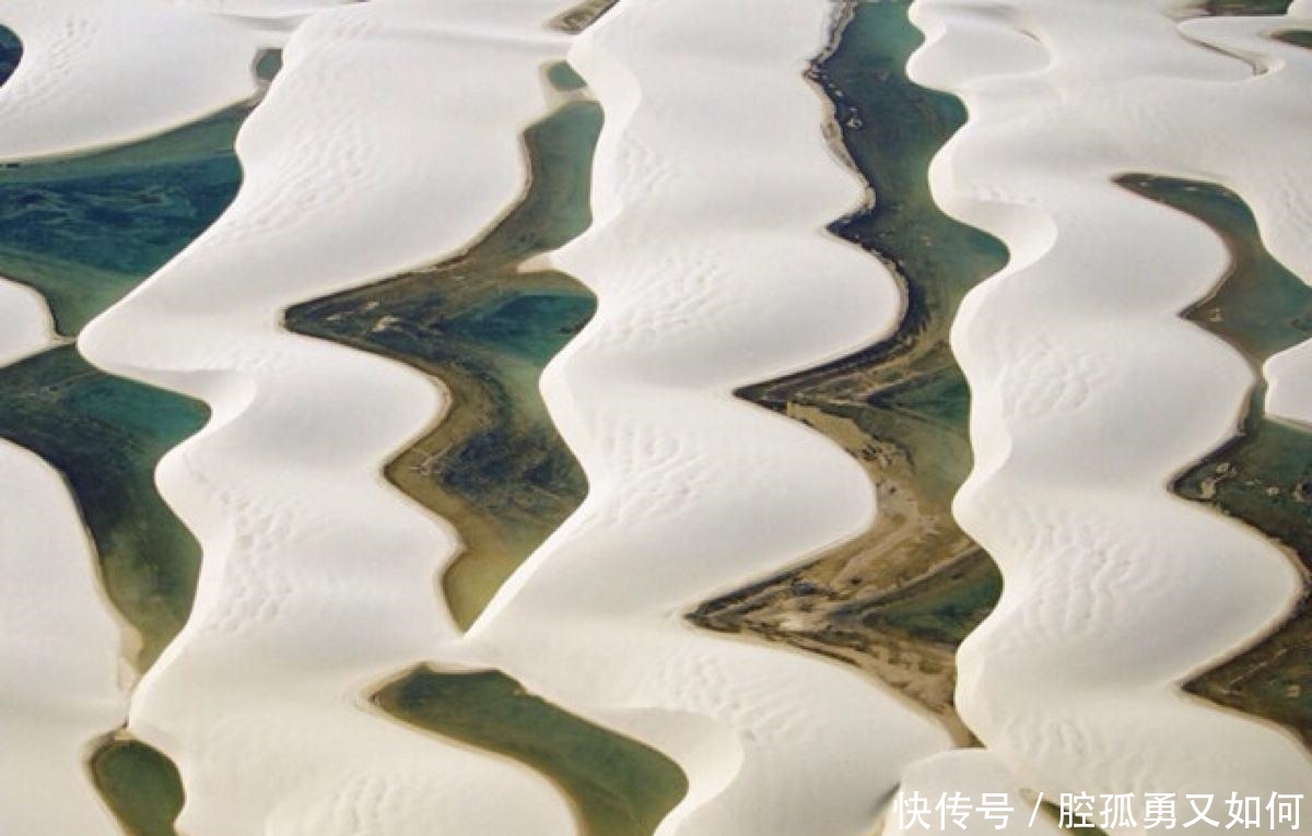 世界最特别的沙漠:境内不仅有干净的湖泊,还有鱼虾在游动