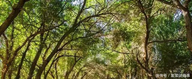 新疆改名呼声最高的一座城市