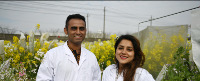 巴基斯坦百姓真的很友好吗？看完去过的中国游客怎么说，太现实