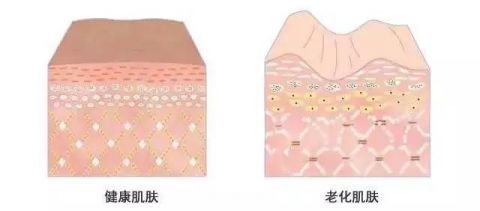  『放松』不讲仪式感的护肤是没有灵魂的，总得给自己点浪漫不是么？