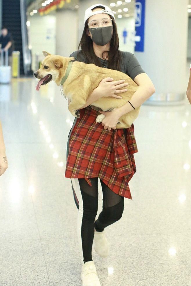 陈乔恩带活物现身机场，网友:你不柔弱了?