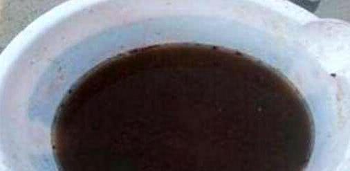  嫩芽：富贵竹、绿萝叶黄发蔫？浇点“黑水”，嫩芽猛抽出，叶片巴掌大！