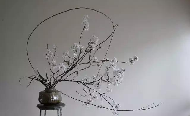  『阵子』42例插花欣赏！一辈子，总要插一次花！