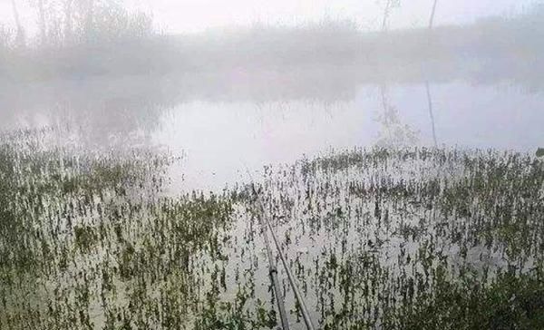  [雾天]过了霜降钓鱼要看天气，这些天气鱼最好钓，渔获肯定差不