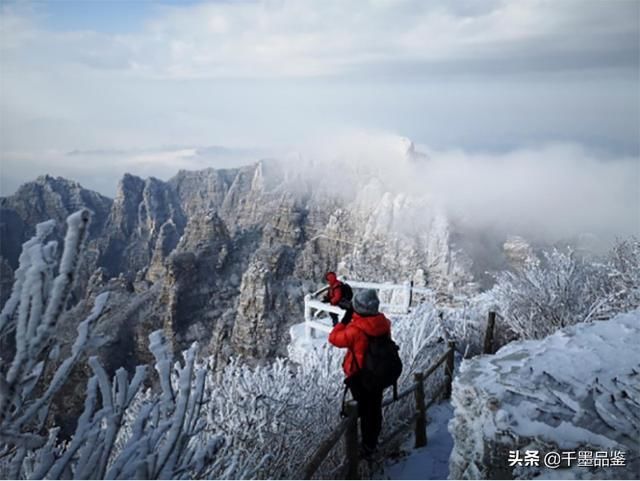 河北白石山现极致雪景 美成“童话王国”