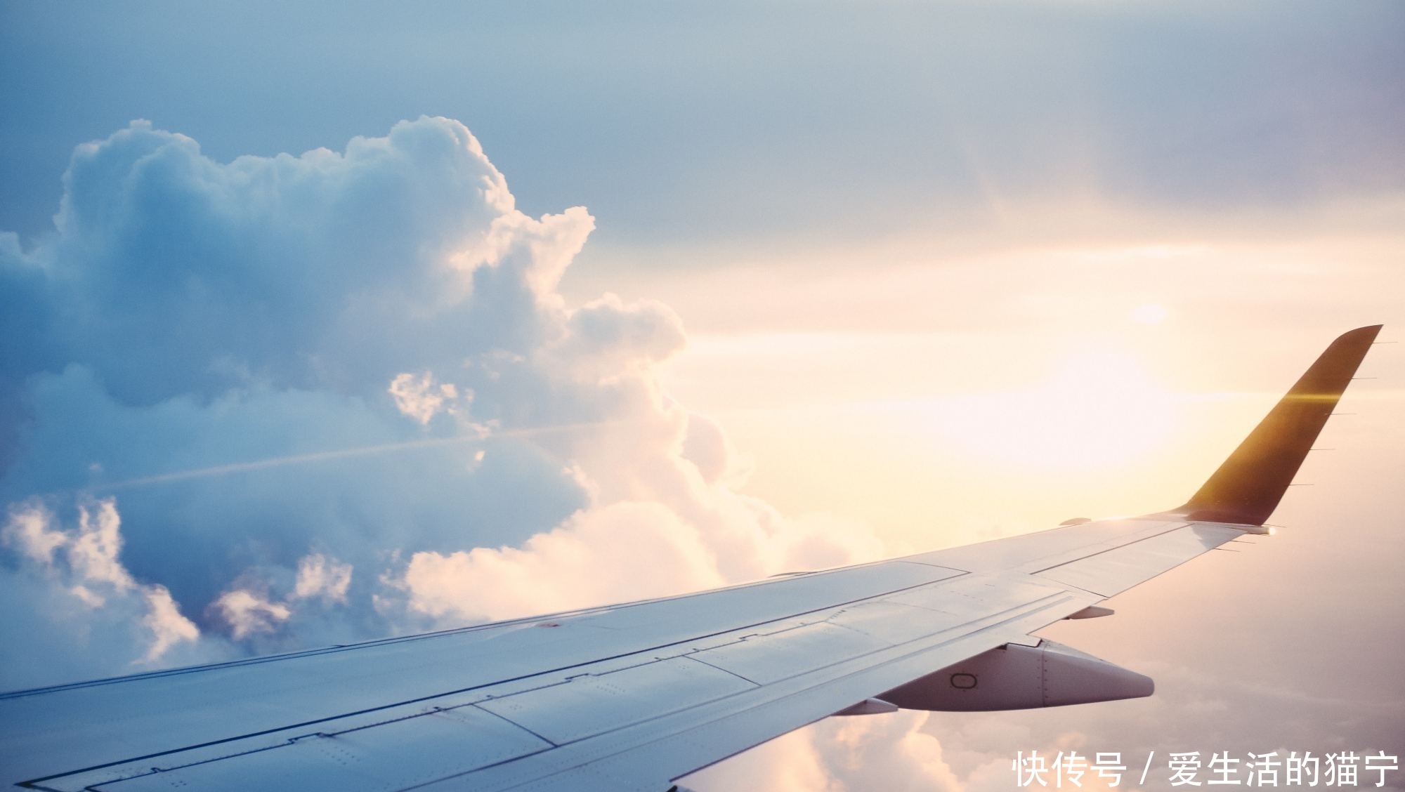 飞机选座不用再纠结！事实证明，经济舱里最佳座位是这里