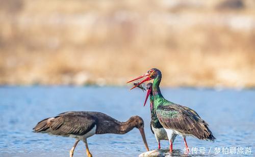 四川这个市获利好，300亿高铁贯穿全城，迅速超过了全省第二城市