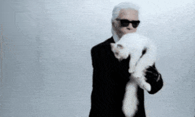  『Choupette』时尚教父“老佛爷”生前养的这只猫，有多幸运就有多难过