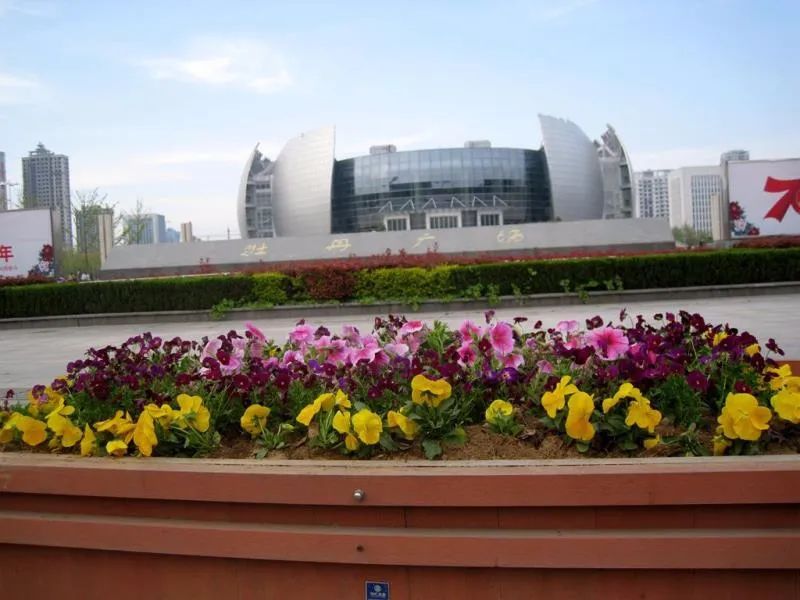  【簇拥】菏泽：鲜花簇拥牡丹城