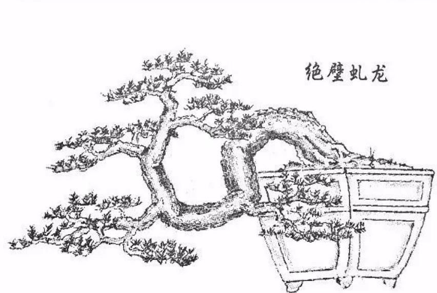  「难度」喜欢悬崖式，就是造型有难度？其实只因为心中没图，这里参考有数