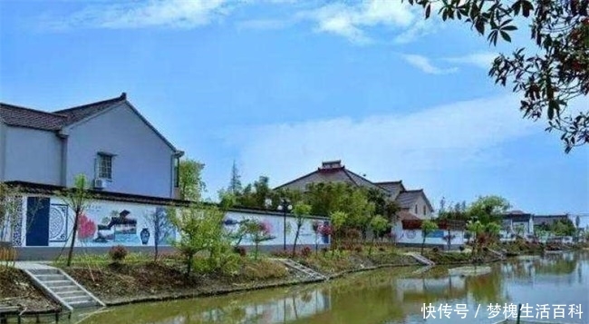 农民屋旁种菜，村干部拔掉种草，说是打造美丽乡村，怎样才算美？