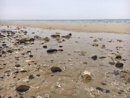 中国海鲜最便宜的城市，景色海滩不输三亚，游客：不想去第二次！