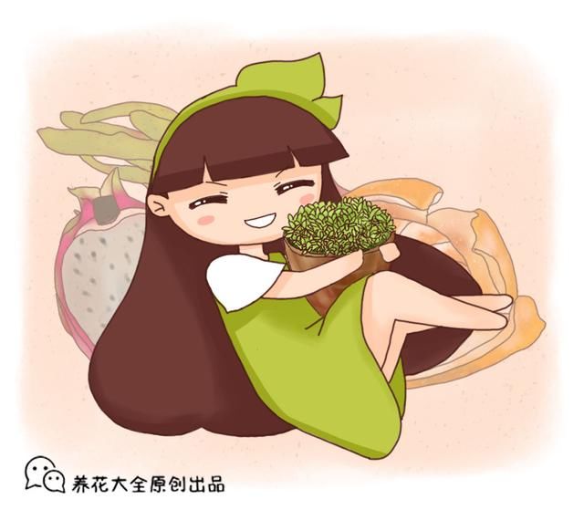  到花盆里：养花高手种水果，1粒种子撒土里，呼呼长出小森林