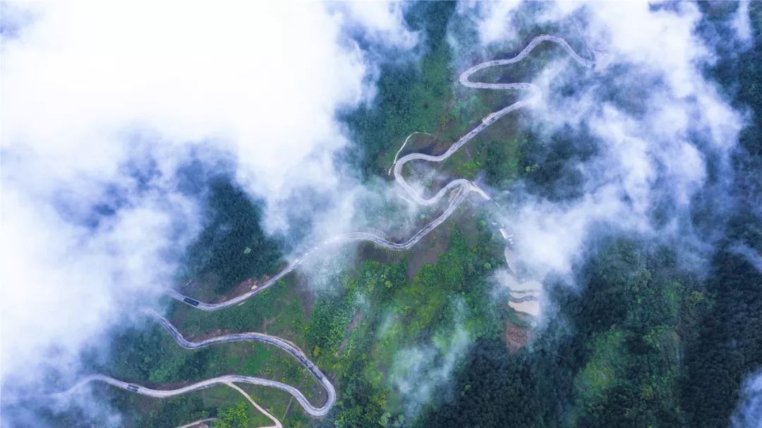 你怎么这么美？重庆这段公路获评“2019全国美丽乡村路”！