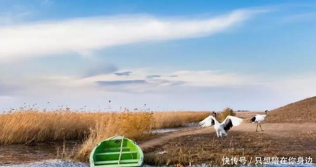 呼伦贝尔的秋天，美的太高级