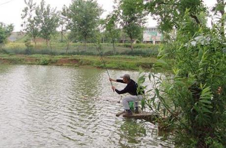 主攻鲫鲤草鱼,中秋节放假去水库垂钓,就使用这两款配方!