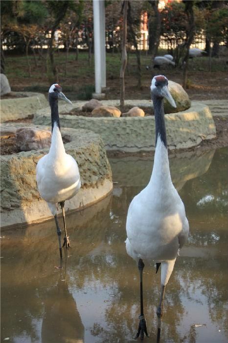  【我国】该地区原为郾城县一小镇，1986年升地级市，我国首个“