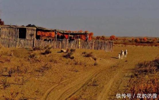 国内最偏僻的村庄,在沙漠的深处,网友:不好找也不敢去