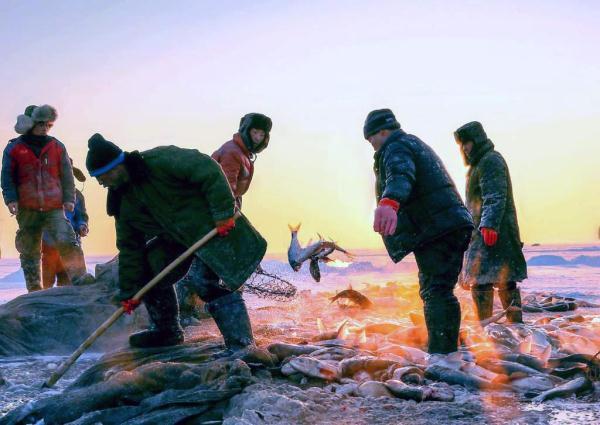 头鱼卖出百万天价，游客提前数月定酒店，查干湖的魅力到底在哪？