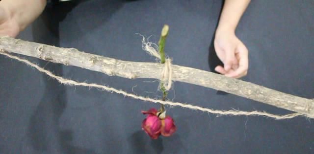  枯萎■鲜花枯萎了不要扔，只需一根麻绳，能制作成永不凋谢的干花