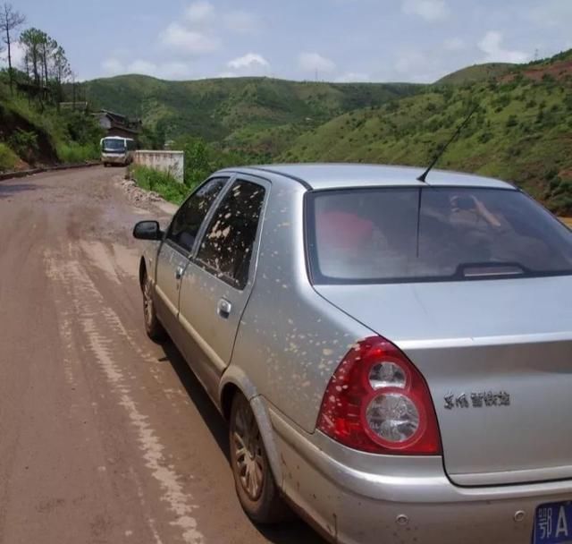 9年陪伴,2次进藏,小爱征服川藏线