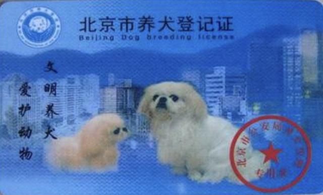 德江儿童车祸却引发朋友圈对养狗人士的谣言:人之自私?狗之过?