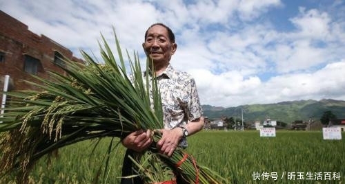  董事长|出任董事长、还有两个目标！袁隆平：我没有想过退休！