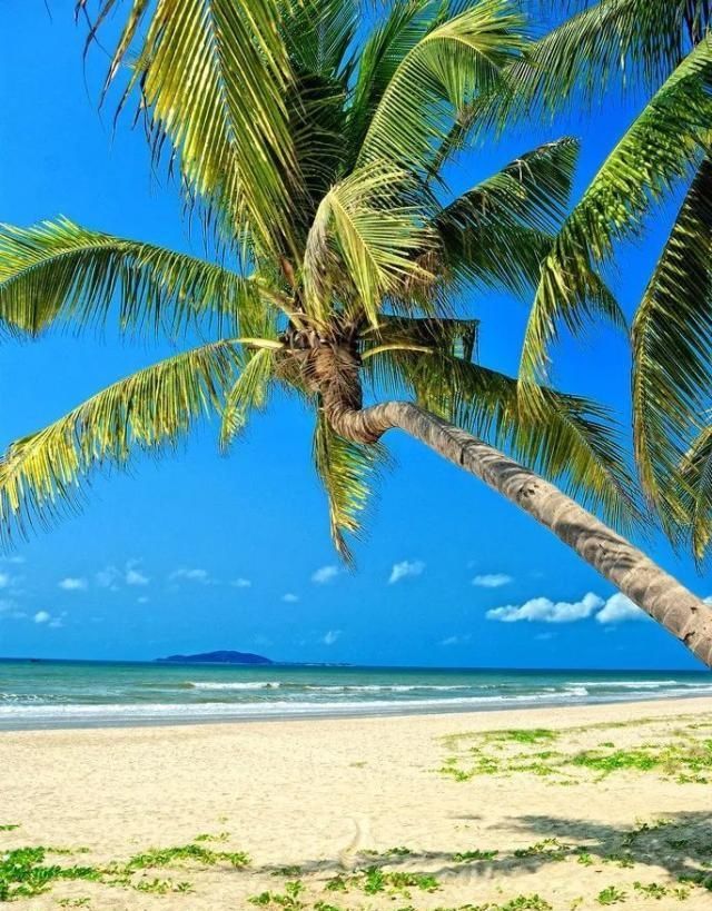 中国最美的50个地方，你去过几个