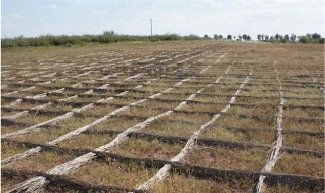 治沙刻不容缓，中国投资上亿元，欲让沙漠变绿洲，现在怎么样了？