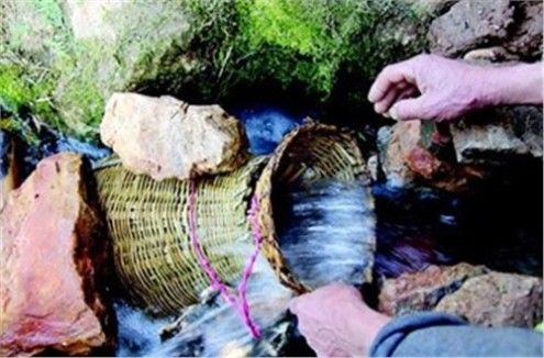 一个不起眼的小山洞，每年随水流出数千斤鱼，专家称这种鱼不能吃