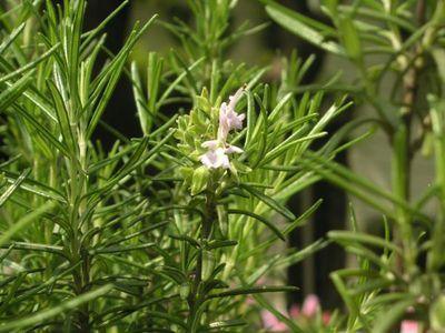 为什么偏偏就你毛孔比较粗大？天天在做这3件事，毛孔不粗大才怪