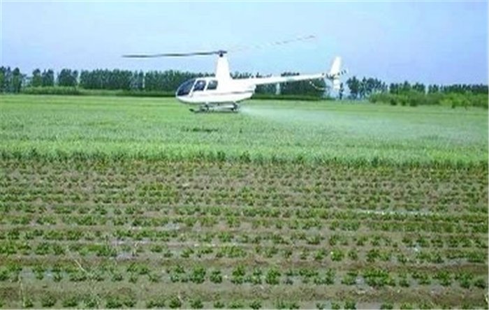  『张坊镇』张坊镇飞防3万余亩 助力小麦条锈病防控