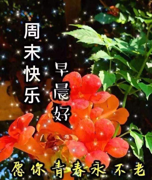  群发@群发清晨早上好问候祝福语，微信群冬天早安问候图片