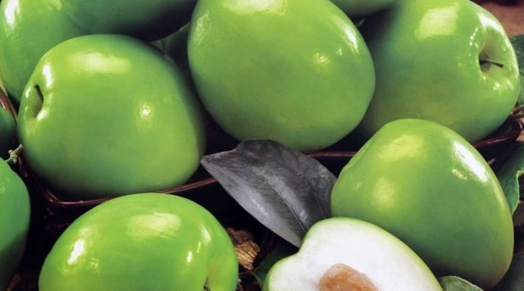  青枣的种植■农村一种水果，以前不值钱种植的人少，现在一斤5块