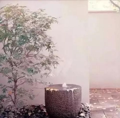 庭院不需太奢华，或一盆花，或一个老物件就能让庭院惬意起来