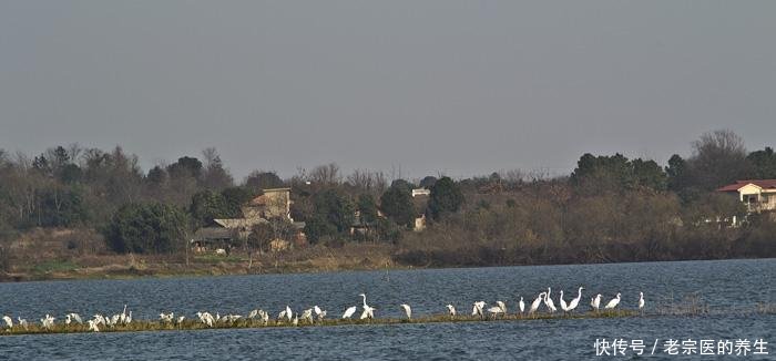 湖南省第二大淡水湖，面积达3840公顷，旅游资源堪比洞庭湖！