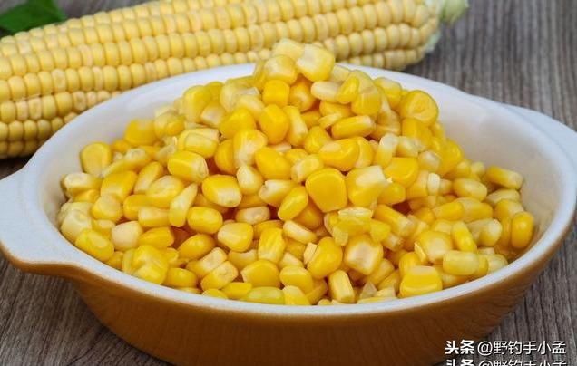  【该如何选择】新手钓鱼别好高骛远，掌握最基本的三种选择，鱼获自然少不了