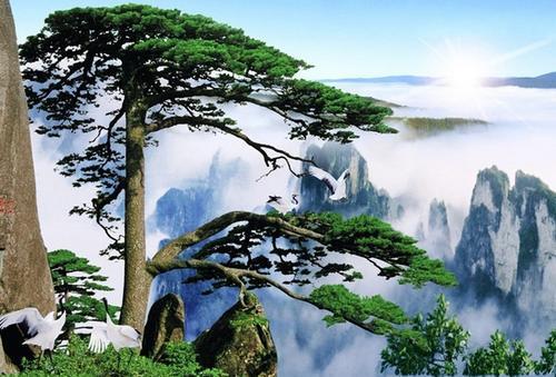 中国最美的十大名山！可惜我只爬过1个～