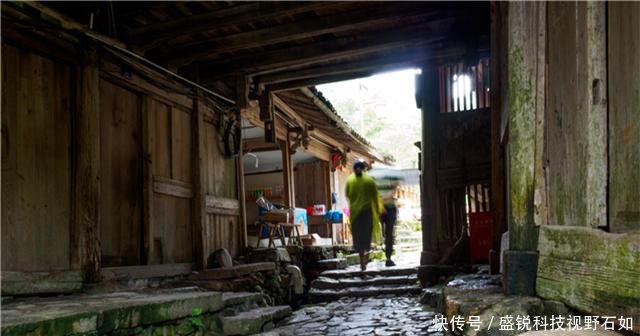 浙江、福建交界，有个300年秘境古村，仙人掌都长成了参天大树