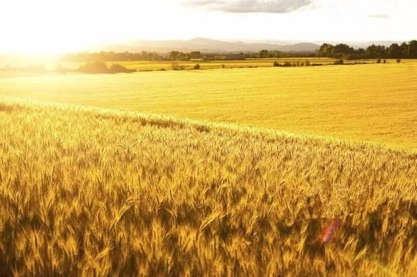  中秋节@最新放假通知！原来，中秋和国庆之间还有一个节！