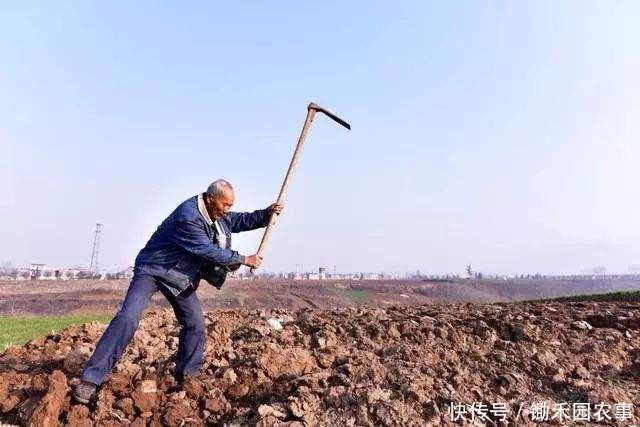  「处理决定」对于农村租地，近期出现了一些不得不防的“陷阱”