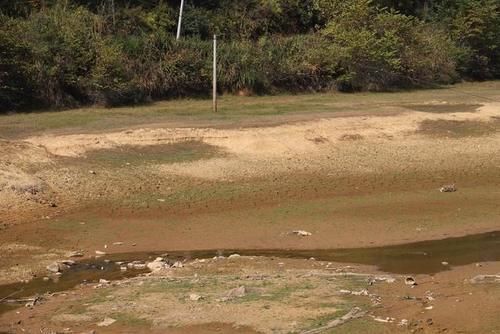  「干涸」直击旱情：降雨偏少 水库干涸